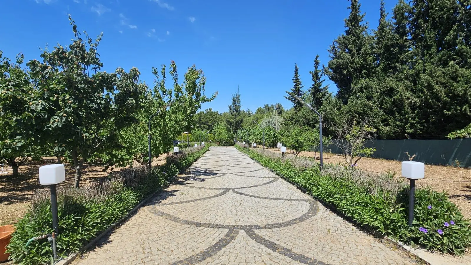 Garden area